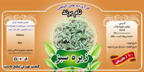 طرح لایه بازلیبل زیره سبز(486)